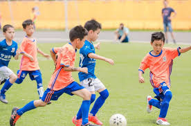 2026年世界杯官网 高品质保证，汗水撒不住：高端室外体育用品健身器材助您塑造完美身材！